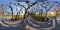 Schlosspark